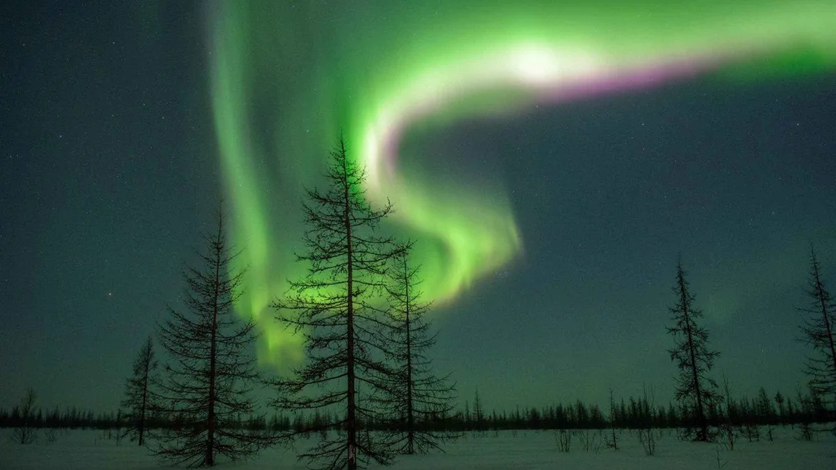 Campfire barbecue by a frozen lake under the northern lights on a budget aurora borealis tour Rovaniemi, Finnish Lapland
