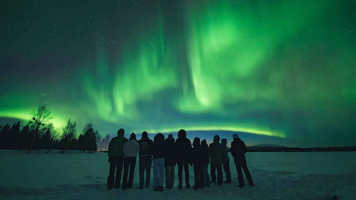 Small group of eight travellers watching aurora curtains on an eight-hour aurora borealis tour Rovaniemi hunt toward Sweden, Lapland